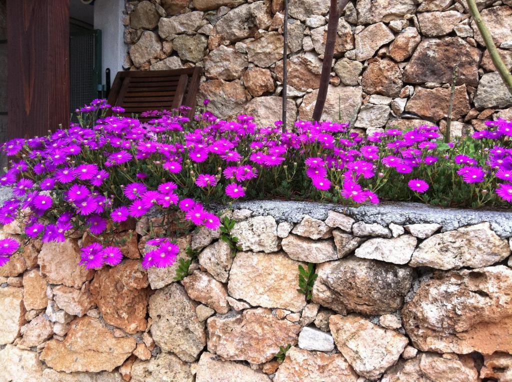 Agriturismo La Rocca Di Perti Finale Ligure Exteriér fotografie